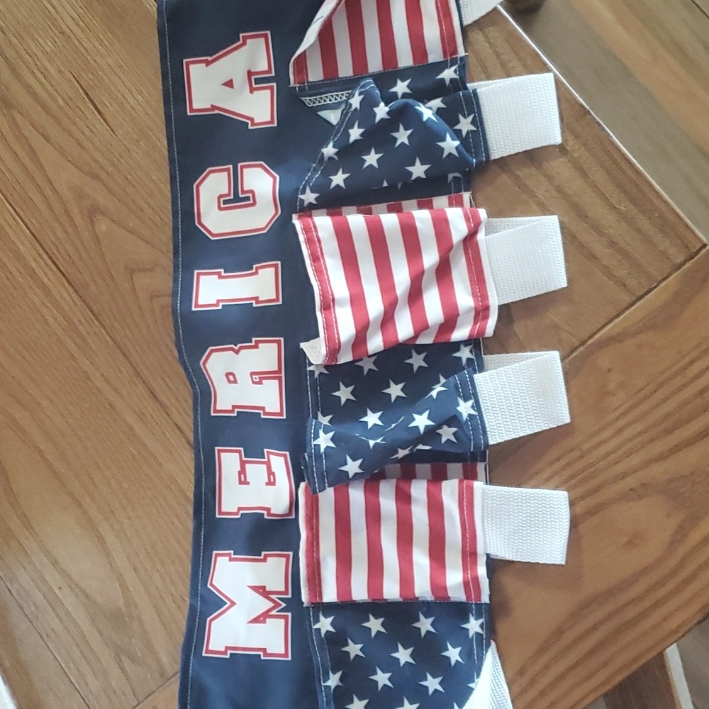 'Merica Beverage Holster